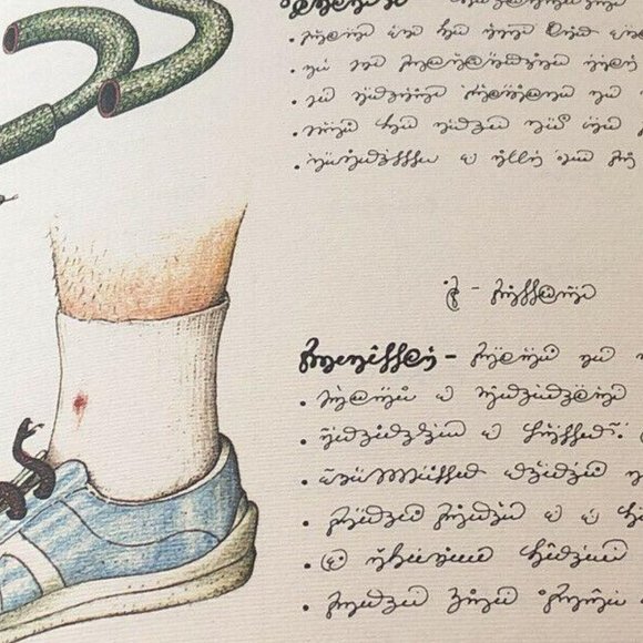 Luigi Serafini Codex Seraphinianus 13" x 9" No. 86 - Picture 8 of 8